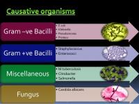 Aquabella Organic Solutions image 1